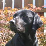 img_06551