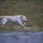ruby sucht