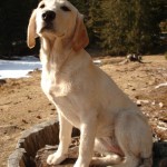 Ruby mit 5 Monaten