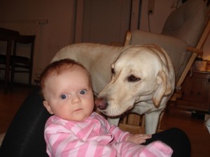 ruby und ihr neuer schützling: unsere stella rose