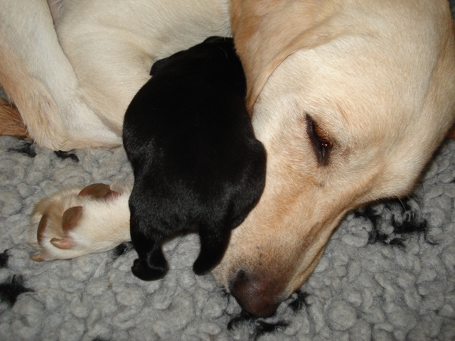 Ruby und ihr Einzelkind