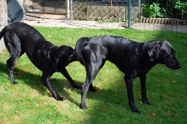 cash & rebecca