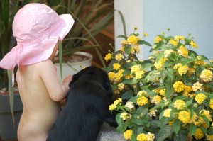 gartenarbeit