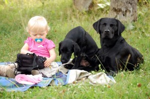 picknick time
