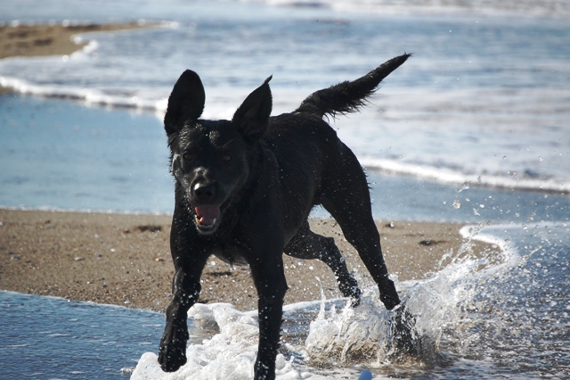 cash im urlaub