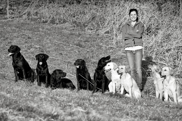 happy healthy dogs, happy bianca;-)