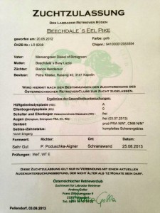 Pike Zuchtzulassung