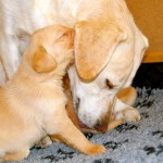 Girly und Mama
