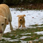 ruby und girly