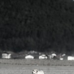 g7w - pt III (5 von 8)