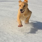 snowfun2