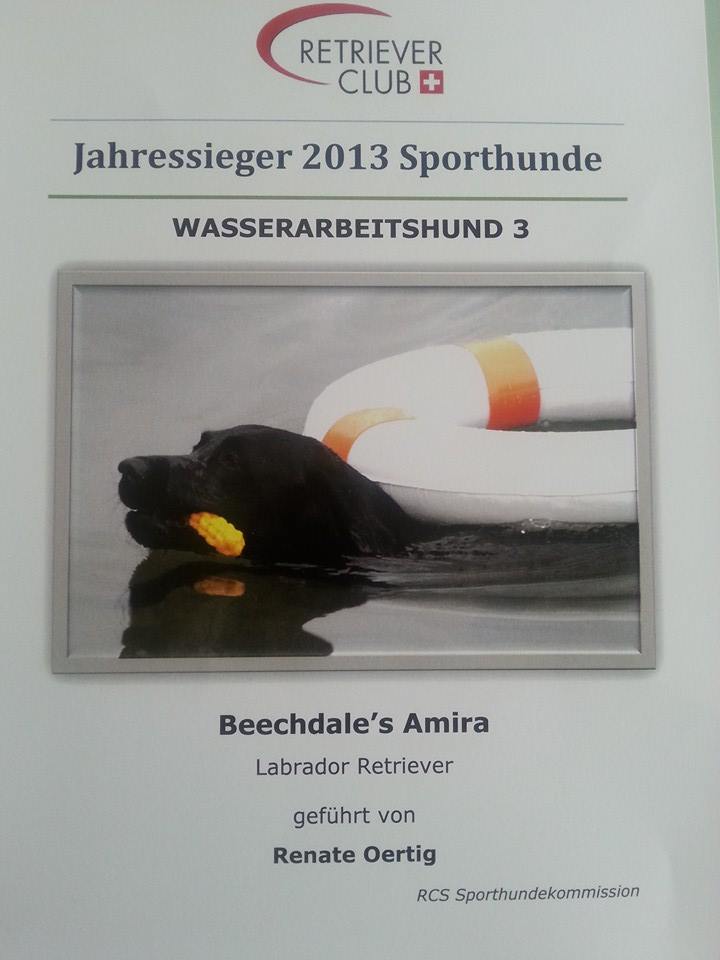 beechdale's Amira