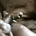 3.woche
