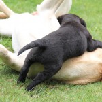 IMG_1964