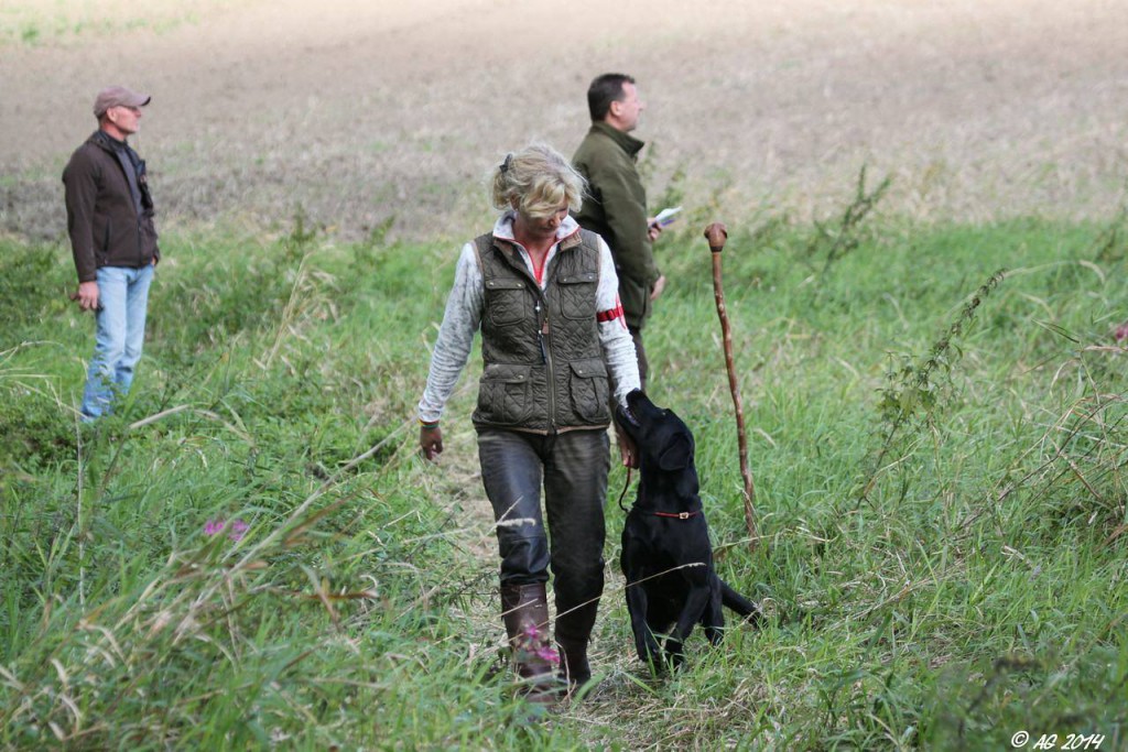 Verena mit Beechdale's Edmunds Spurdog