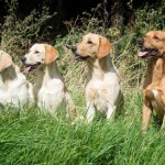 Mama Ruby, Piper, Glen und Papa Bertie in England
