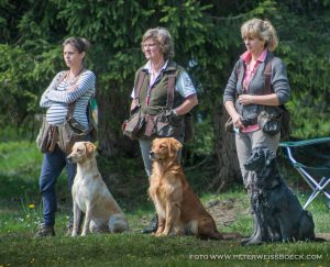 Piper beim Workingtest Tyrolian Cup