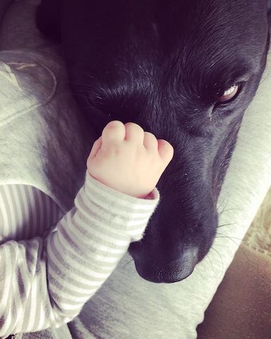 Kuscheln mit Cash